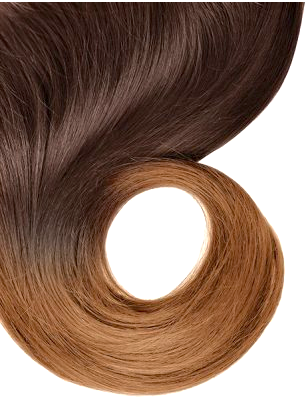 #2/10 Dark Brown Ombre Specialty - Locket Hair